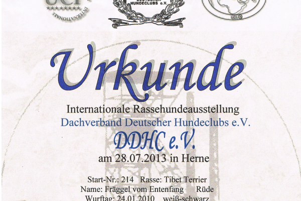 urkunde-000319E83FD8-4C0F-2452-832A-3A0BBC148EAA.png