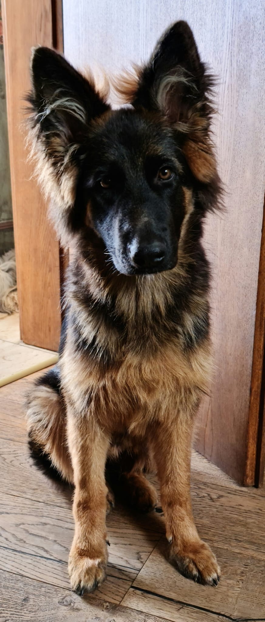 img 20251005 wa0021569BBA9B 5FDE EAEB 1C2A 723857411A9E