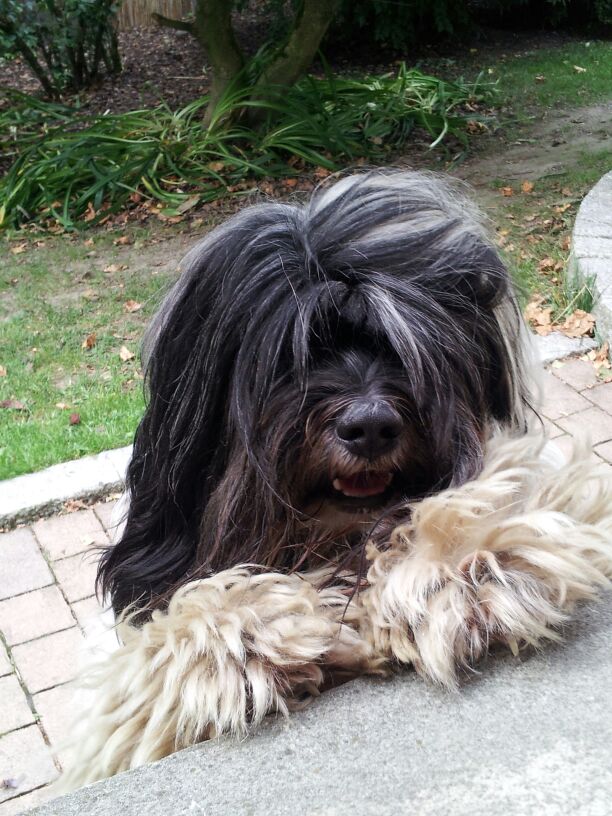 img 20130822 wa0001 20130822 1678245107 20150107 1323708350