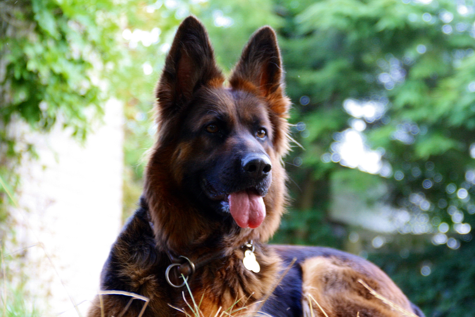 kidney 0006 20130223 1847658316 20150107 1184999406