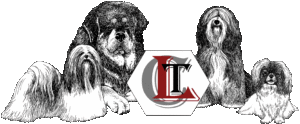 CLT-Tibethunde